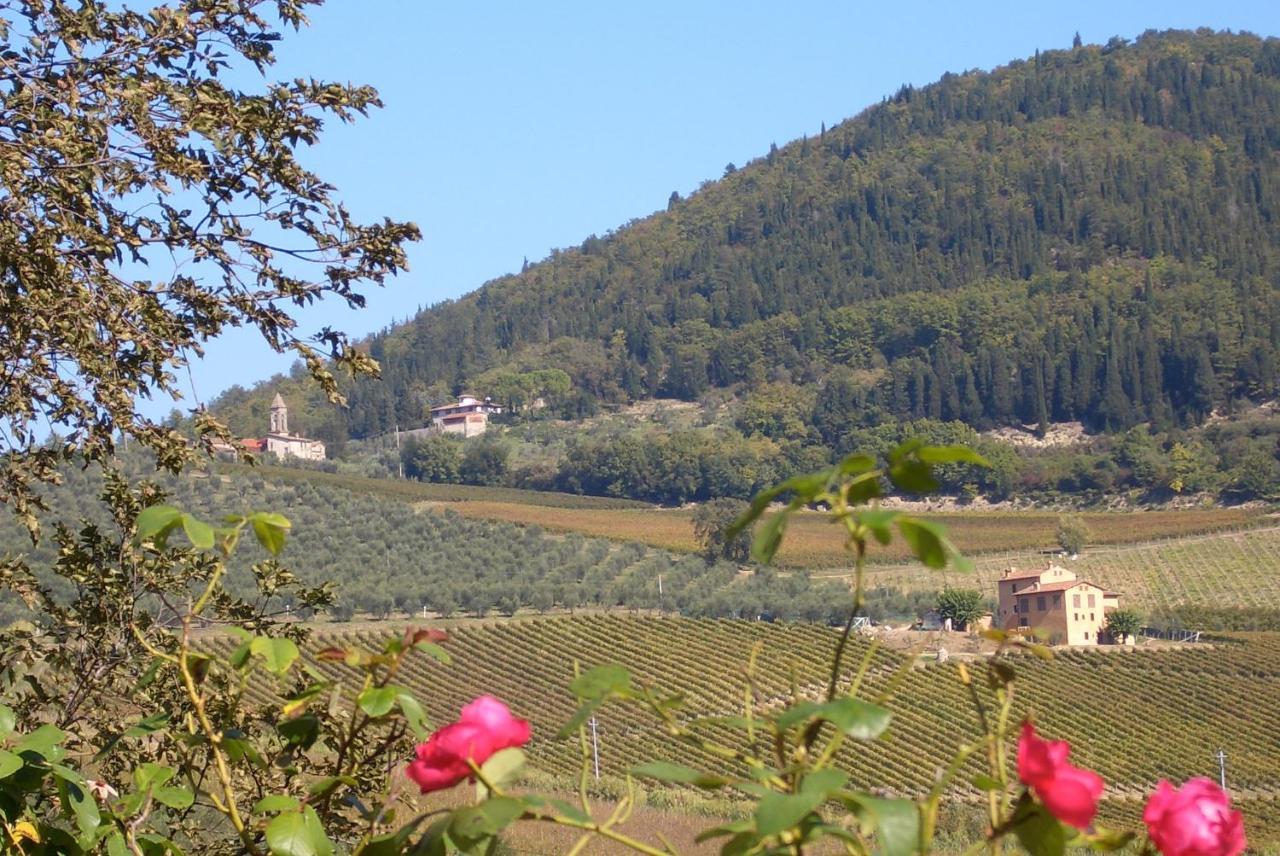I Veroni - Agriturismo And Wine Cellar Pontassieve Exterior foto