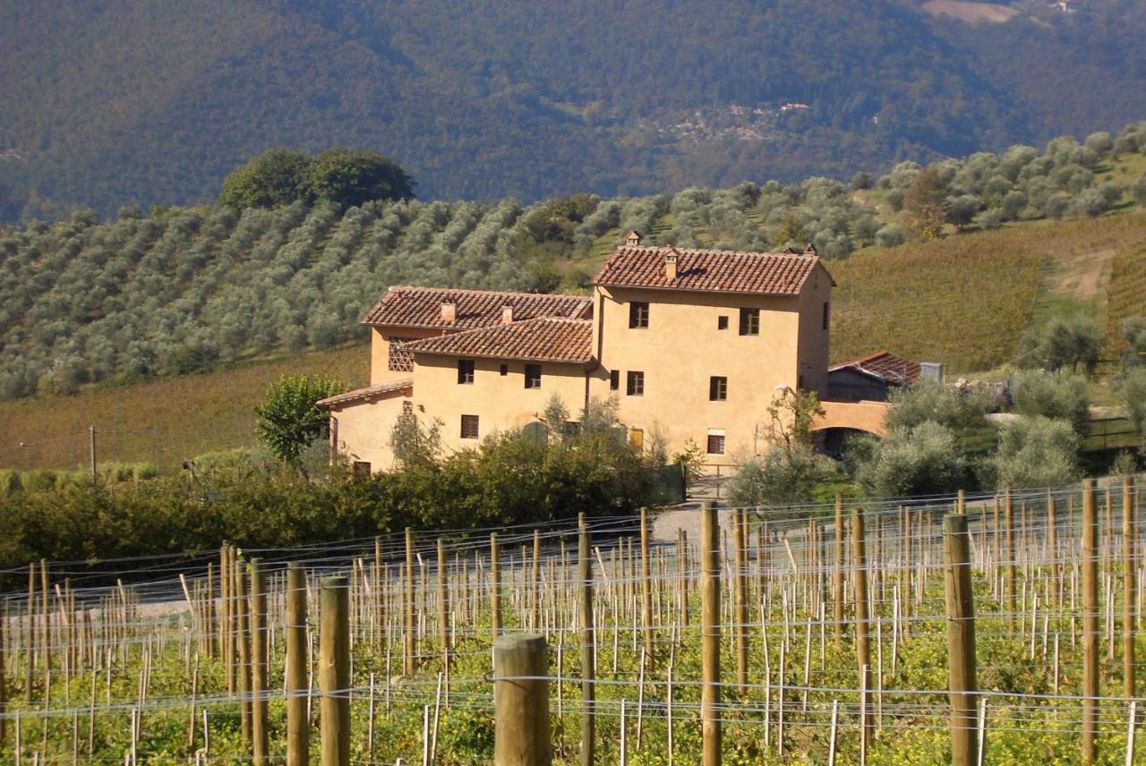 I Veroni - Agriturismo And Wine Cellar Pontassieve Exterior foto