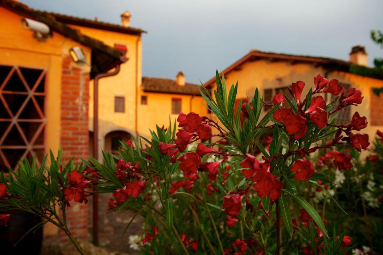 I Veroni - Agriturismo And Wine Cellar Pontassieve Exterior foto