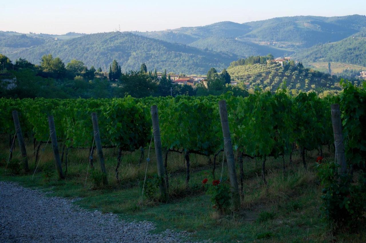 I Veroni - Agriturismo And Wine Cellar Pontassieve Exterior foto