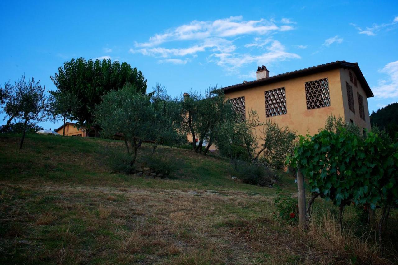 I Veroni - Agriturismo And Wine Cellar Pontassieve Exterior foto