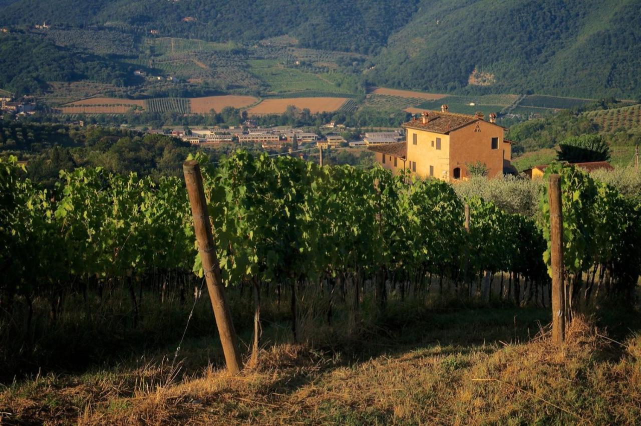 I Veroni - Agriturismo And Wine Cellar Pontassieve Exterior foto